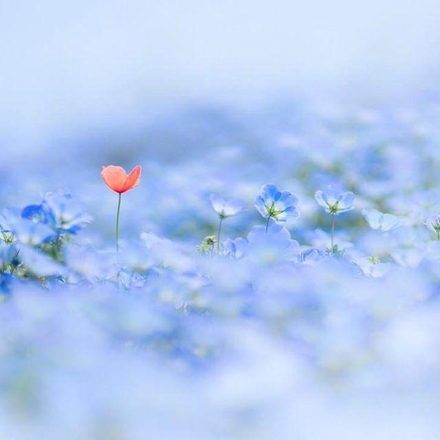 关于朋友的名言，关于朋友的名言经典（十一月发朋友圈最棒的人生格言）