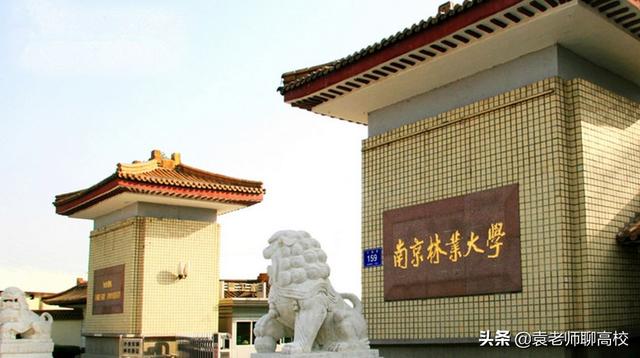 南京林业大学为什么排名很低，2021南京林业大学排名（一个211一个双非省重点怎么选）