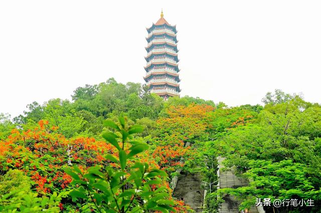 丝绸之路的路线，海上丝绸之路的路线（一条被荒弃在大山里的古道）
