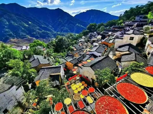 江西七朵金花是什么，江西七朵金花是什么菜（朱虹：这里是神奇的江西）