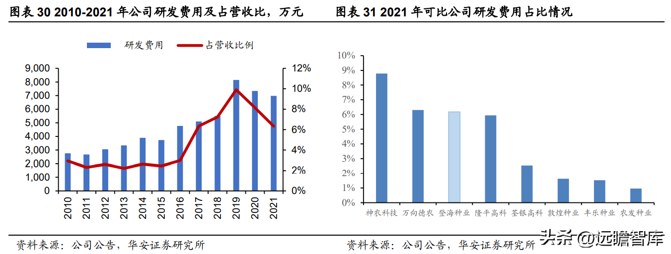 登海先锋种业（玉米种子领军企业）