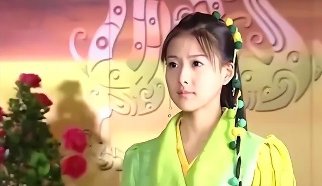 戚薇主演过的电视剧，戚薇演过的电视剧（给“公主演得最好的10个演员”排个名）