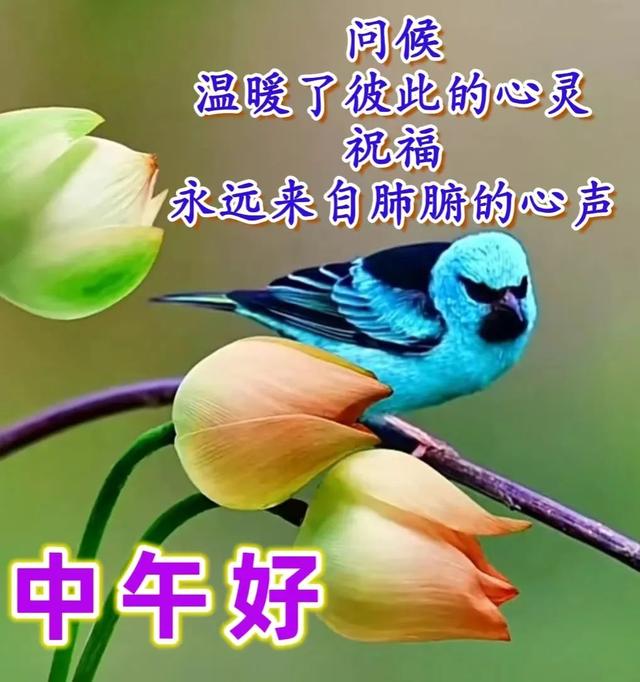 祝福全家的祝福语，2022年春节祝福语全家（直接群发家人朋友的早安祝福语精选大全）