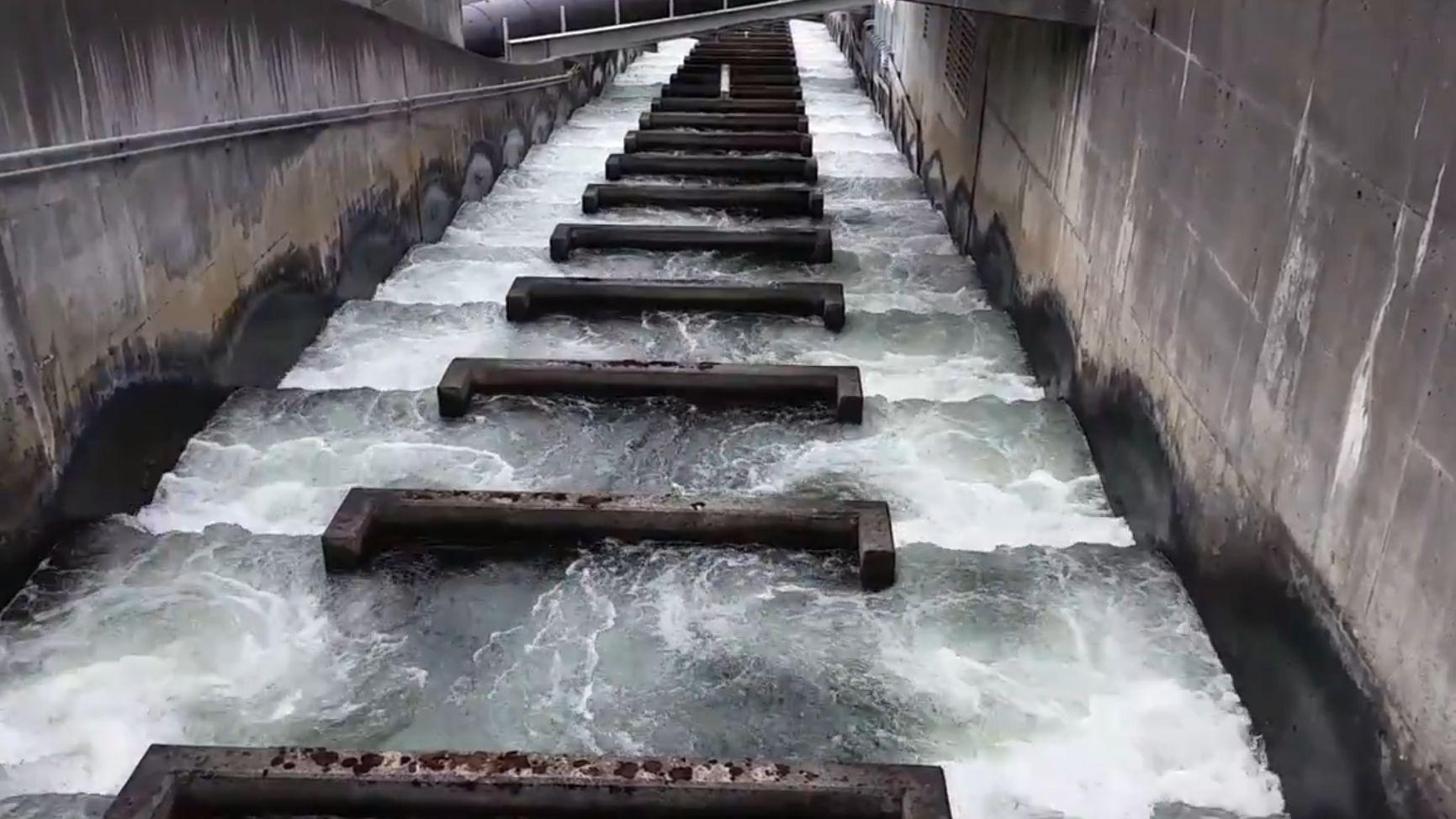 三峡大坝洄游鱼道图片