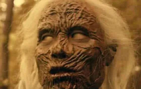 什么是僵尸，什么是僵尸蚂蚁（什么是僵尸人格）