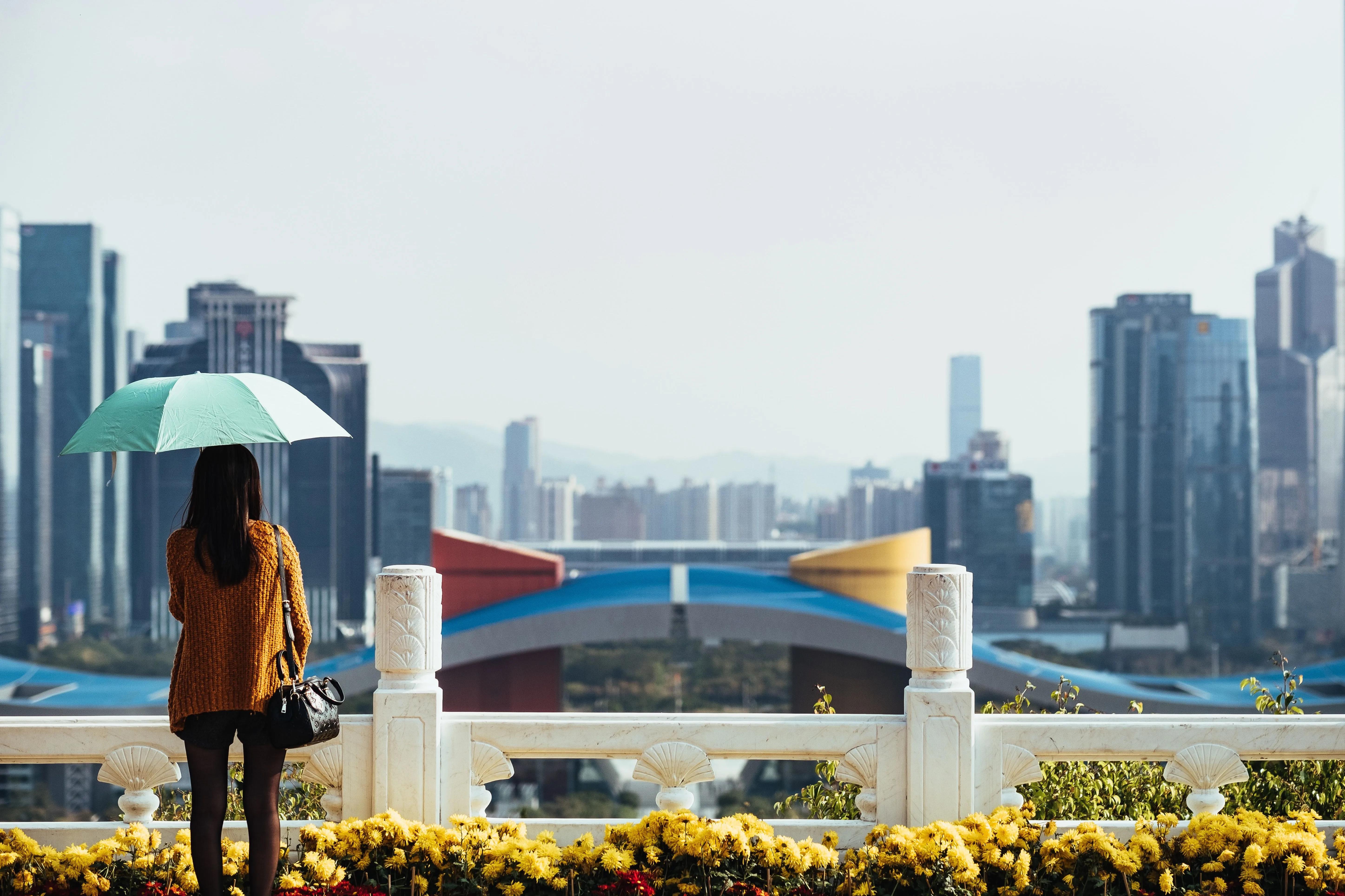 深圳市区是哪个区(深圳三大中心区)
