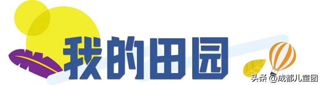成都周边游儿童游乐园松鼠部落，2022儿童挚爱户外乐园线上评选启动