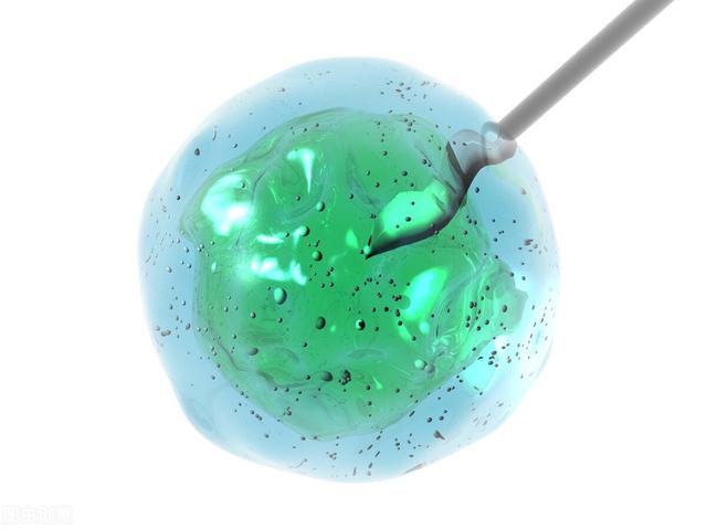 十九周的胎儿真实样子，怀孕十九周胎动是什么样的（孕期宝宝变化）