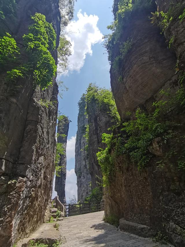 恩施大峡谷景区介绍，恩施大峡谷景点介绍游记（恩施大峡谷是此生必去地方之一）