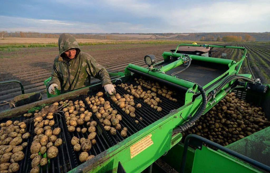 俄罗斯种子断供,中国种子会不会面临“卡脖子”?用数据来说话-图3