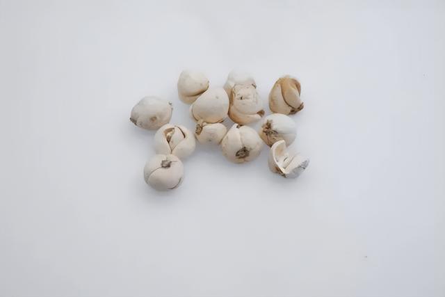 决明子是什么植物的种子，决明子泡水喝竟有6个害处（这3对名称相似的中药）