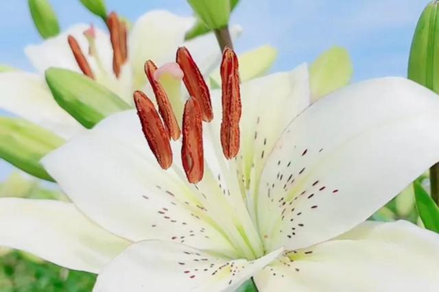 努力的意义是什么，努力的意义是什么图片（女人努力的意义是什么）