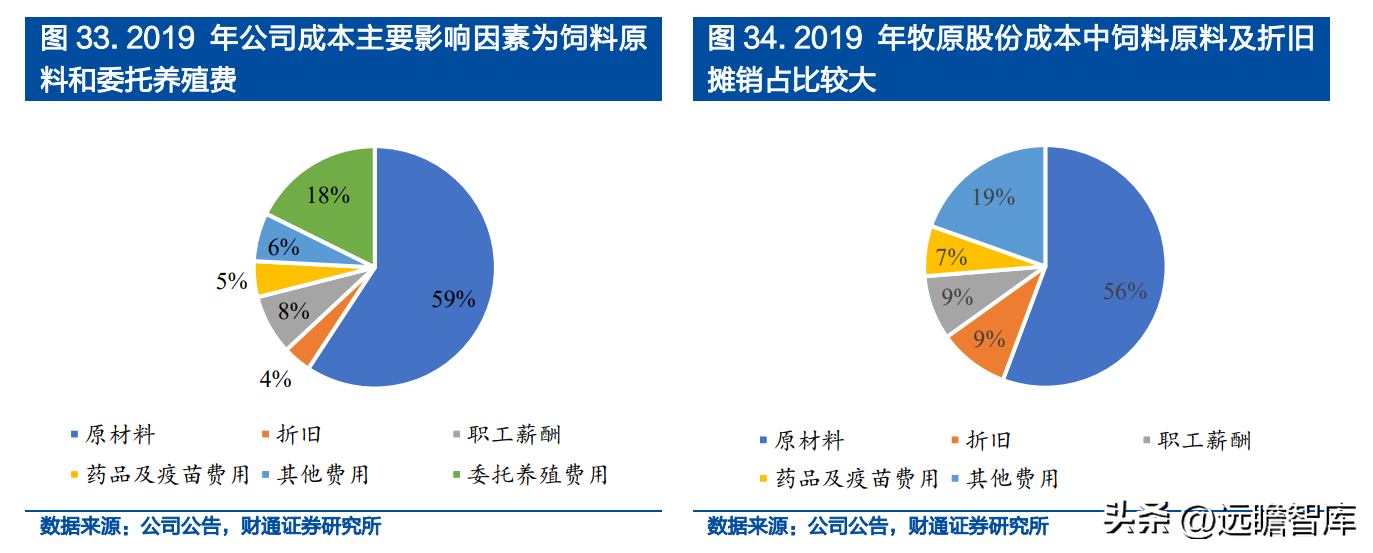 温氏集团（走出困境）