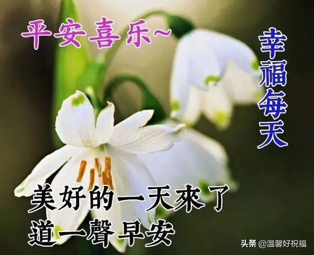 友情祝福语都有那些，友情祝福语都有那些句子（一阵热风，一季夏）