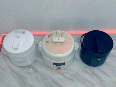 电压力锅炖排骨，电压力锅炖排骨做法（攻略+横评+实测）