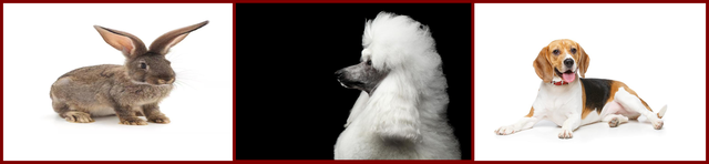 华为手机开发者选项怎么打开，怎么打开华为手机的开发者选项（开发实践丨昇腾CANN的推理应用开发体验）