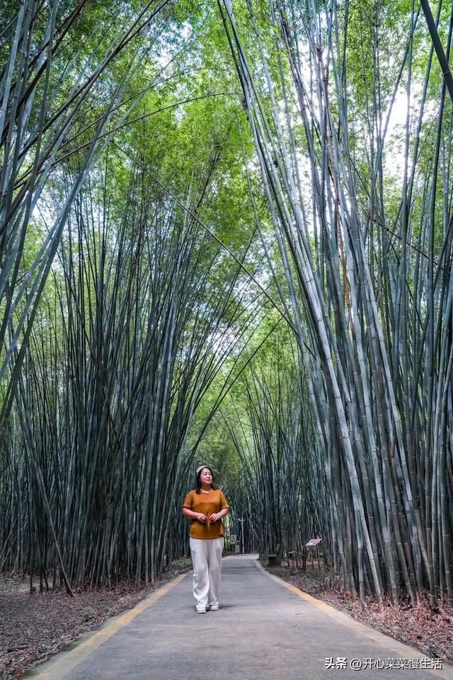 肇庆旅游景点，肇庆旅游景点大全景点排名（12个景点打卡大盘点）