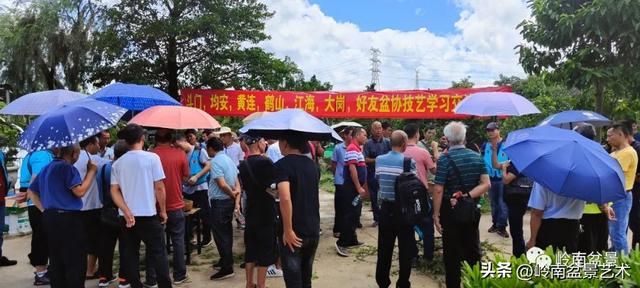 7月开什么花，哪些花是夏天开的（八月花飞万物生）