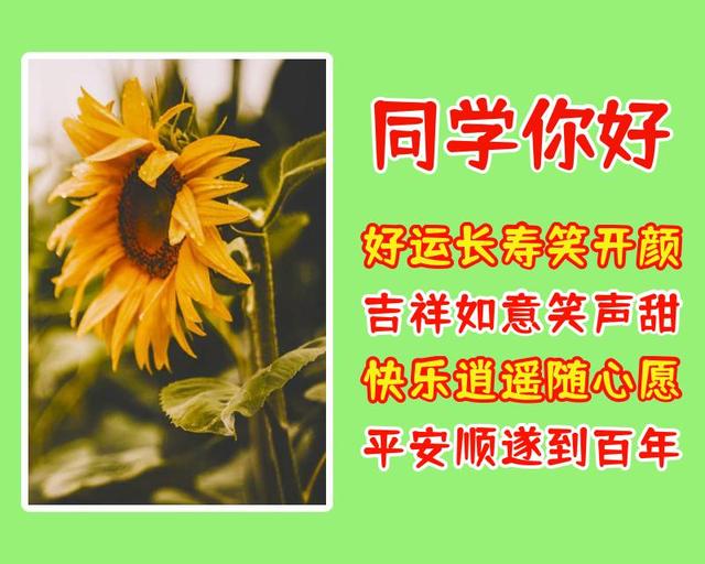 蛇年春节送同学朋友的祝福语,送同学的新年祝福(祝福老同学的漂亮图片
