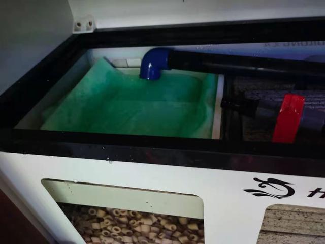 过滤棉多久换一次，鱼缸过滤棉多久换一次（需要何时更换、清洗、淘汰等问题）