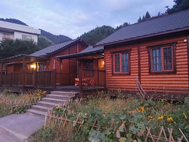 饭店为什么不要黑豚，饭店为什么不要黑豚油（品莽山黑豚先素尝后蘸食仪式渊源）