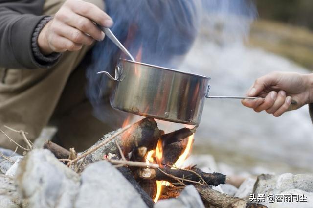 地下森林里有哪些种类的植物和动物，地下森林里有哪些种类的植物和动物图片（12种最常见的可食用昆虫以及荒野生存中食用昆虫的安全提示）