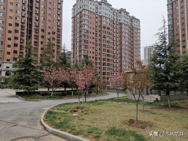 申请报告怎样写模板，给领导申请报告怎么写（申请书、请示和报告的写作技巧）