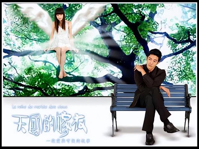 王心凌拍过的电视剧，王心凌的电视剧有哪些（王心凌主演的五部电视剧）