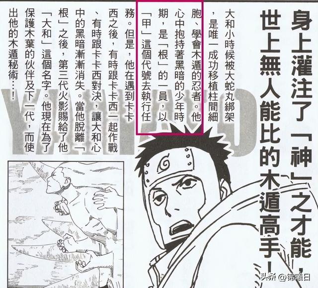 火影忍者大和死了吗，大和死了吗（大和仅仅拥有木遁和封印术）
