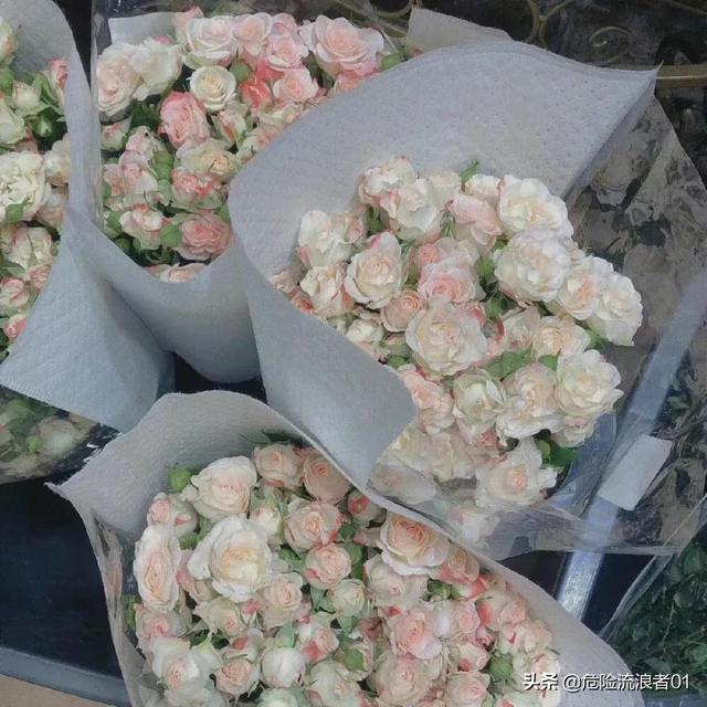 唯美的文案短句，唯美的文案句子（优美的文案短句）