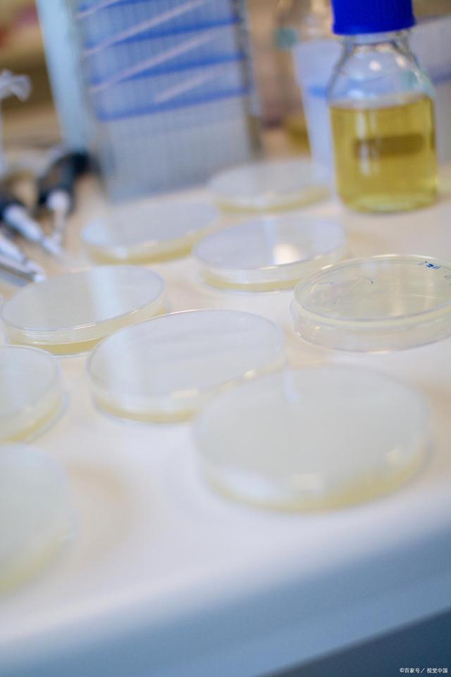 培养液是什么，MEM培养液是什么（<摘抄微生物培养基使用手册>）