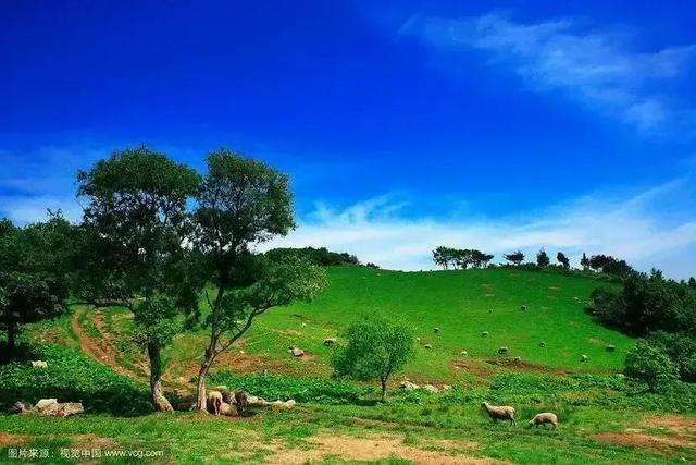 你若安好便是晴天，你若安好便是晴天的下一句是什么（你若安好，便是晴天）