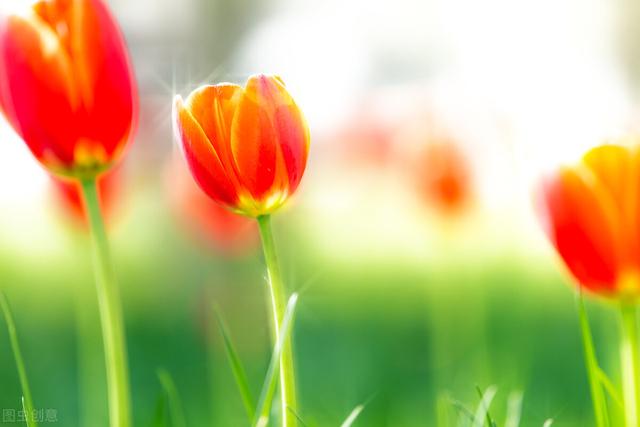 试问苍天饶过谁的上一句，苍天饶过谁的前一句是啥（心怀善念，福气相伴）