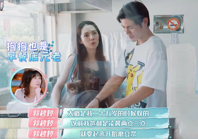 最美的时光剧情介绍，最美的时光电视剧剧情（辛苦养育女儿郭碧婷长大）