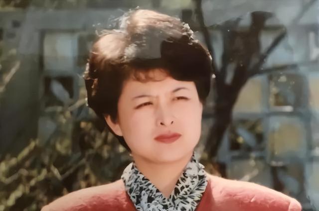 cctv主持人，最美cctv主持人（央视再也见不到的4位主持人）