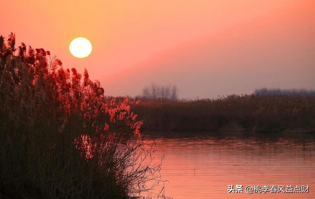 美国股票投资，怎么样买美国股票（美国股市在回归理性）