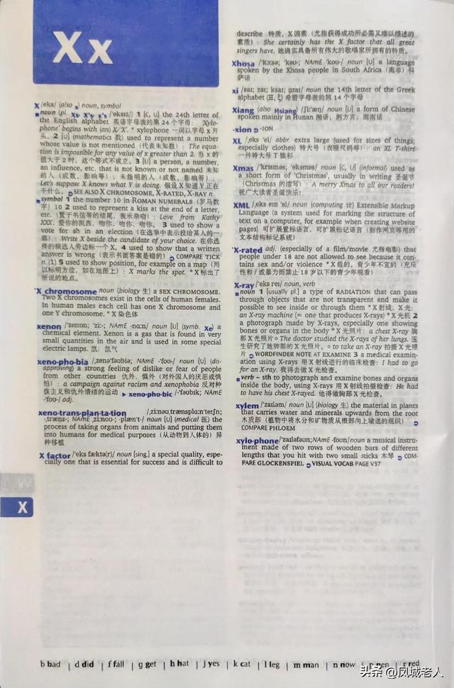 x开头单词举例，x开头单词（冷知识——浅谈字母X开头的英文单词）