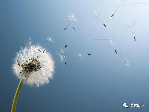 姓张的历史名人有哪些，姓张的历史名人有谁（萧骏琪：张姓）