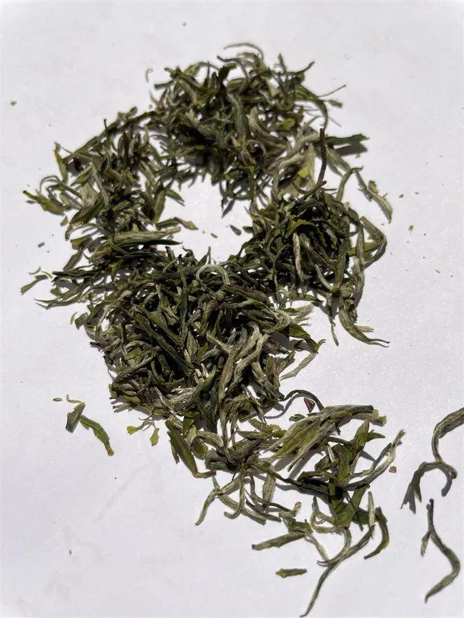 绿茶都有哪些品种（中国十大顶尖绿茶排名）