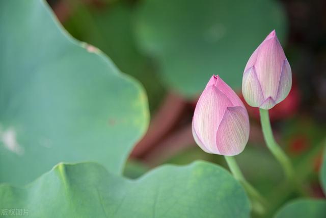 个性哲理说说，个性哲理说说短句（关于人生的哲理句子）