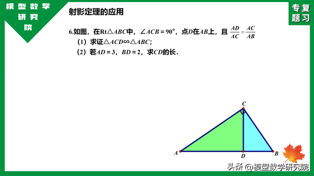 什么是数学上的射影定理，中考专题：射影定理小常识