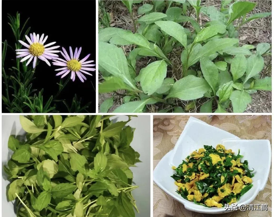 "七头一脑"哪里来