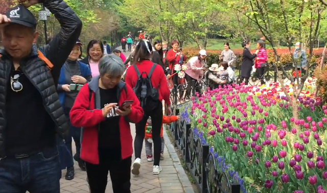 郑州周边免费景点，郑州最近免费旅游景点大全（不出郑州的8个赏花遛娃地）
