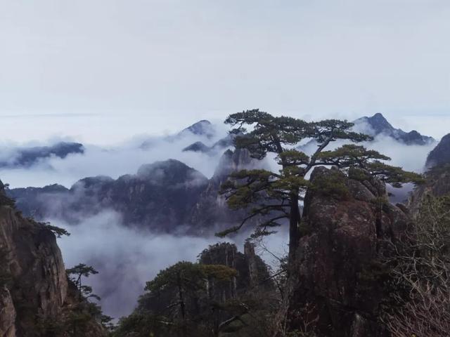 黄山云海奇观美景，黄山又现云海奇观 宛若仙境