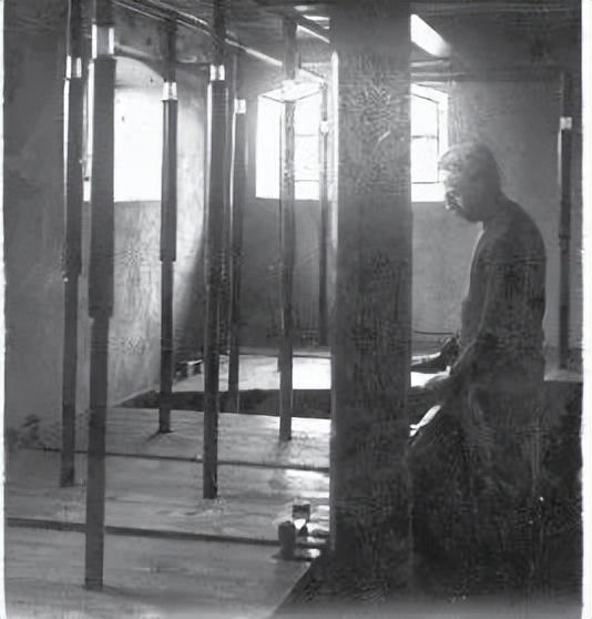 绿色都有哪些绿，绿色都有哪些（1分钟，提升对绿氢的认识）