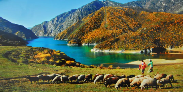 八月份适合去哪里旅游，8月份旅游去哪里好玩（甘肃推广发布“金九银十”八大旅游精品线路）