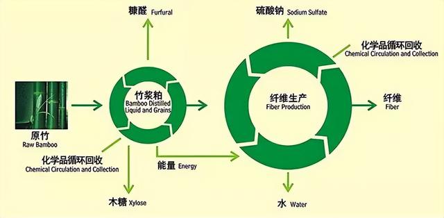 竹纤维是什么材料，竹纤维到底是什么东西（为什么越来越受欢迎）