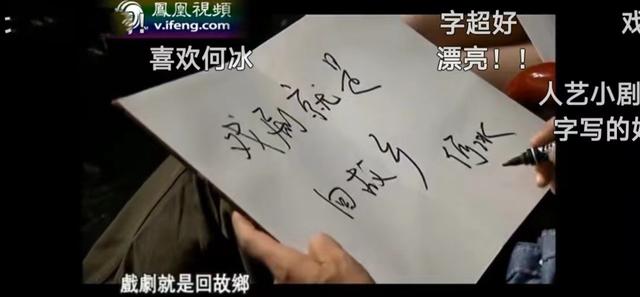 何冰主演的电视剧大全，何冰所有的电视剧（从双料视帝到无戏可拍）