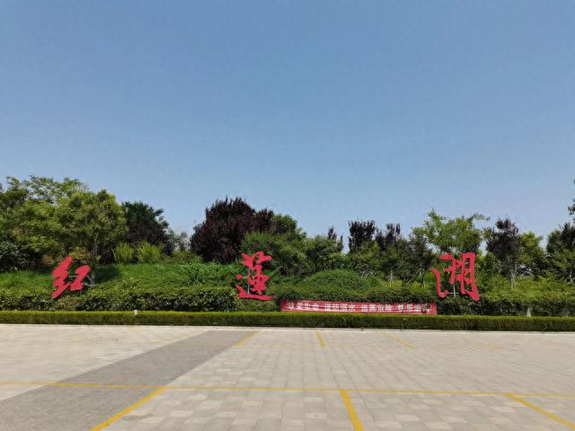夏日的红莲湖湿地公园