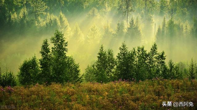 水瓶座和双子座，水瓶座配对双子座（双子座、天秤座和水瓶座的聪明大不同）